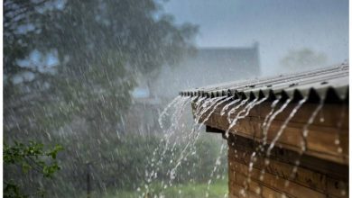 رگبار باران و رعدوبرق در ۱۰ استان، سازمان هواشناسی برای ۱۰ استان کشور و ارتفاعات البرز مرکزی و شرقی رگبار باران و رعدوبرق و در نقاط مستعد تگرگ پیشبینی کرد.