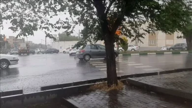 رگبار و وزش باد در ۱۱ استان، سازمان هواشناسی از رگبار باران، صاعقه و وزش باد شدید در ۱۱ استان از جمله تهران خبر داد و برای مناطق جنوبی هشدار افزایش سرعت وزش باد و ارتفاع امواج صادر کرد.