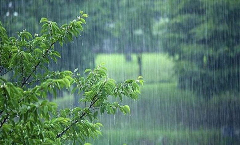 رگبار و رعد و برق در ۱۳ استان، سازمان هواشناسی امروز (دوشنبه) برای تهران و ۱۲ استان دیگر کشور رگبار باران و رعد و برق پیش‌بینی کرد.
