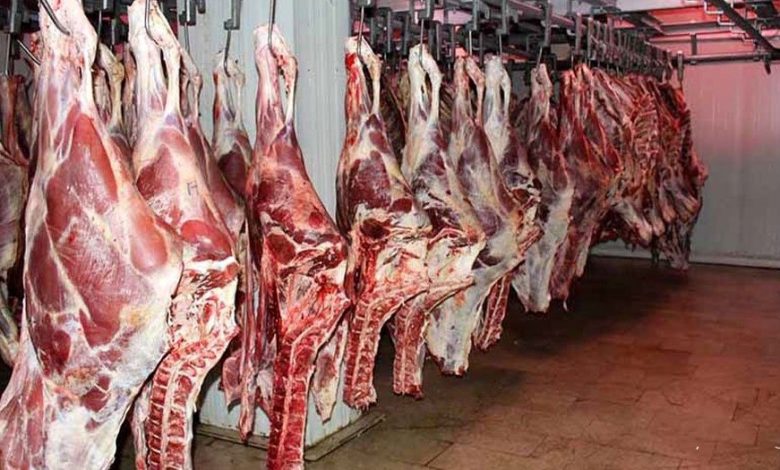 تحقق خودکفایی در تولید گوشت نیازمند کاهش هزینه‌ها و ثبات بازار، رئیس شورای تأمین دام کشور با اشاره به واردات گوشت و نوسانات بازار، تأکید کرد: خودکفایی زمانی معنا پیدا می‌کند که هزینه‌های تولید کاهش یابد و بازار از نظر عرضه و تقاضا به تعادل برسد. خشکسالی، گرانی نهاده‌ها و ضعف در حمایت از دامداران خرد از جمله موانع اصلی تحقق کامل خودکفایی است.