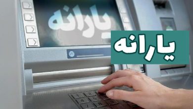 افراد بالای ۱۸ سال میتوانند یارانه خود را جدا کنند، سرپرستان خانوار جهت جداسازی اعضای مجرد بالای ۱۸ سال از خانوار خود به دلیل وسع اقتصادی می توانند از طریق سامانه خدمات غیرحضوری سازمان هدفمندسازی یارانه ها اقدام نمایند.