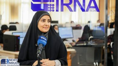 به گزارش فرصت رسانه به نقل از ایرنا، فرزانه صادق وزیر راه و شهرسازی در جریان بازدید از ایرنا گفت: بخشی از سیاست‌های این وزارتخانه را در بخش مسکن در دولت چهاردهم تشریح کرد و گفت: مسکن موضوعی بسیار مهم و مبتلابه همه مردم از اقشار مختلف است.
