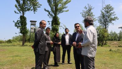 تقدیر از محیطبانان پارك ملی بوجاق در راستای مسئولیتهای اجتماعی منطقه آزاد انزلی