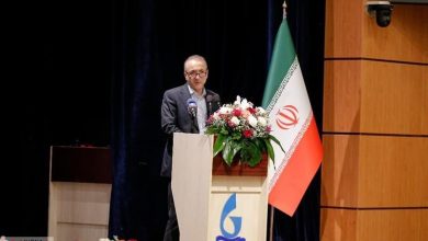 مدیرعامل شرکت سرمایه‌گذاری تجاری شستان با بیان اینکه بهره‌برداری از فاز نخست نیروگاه مکران نقطه عطفی در مسیر توسعه جنوب شرق کشور است، گفت: این منطقه با موقعیت منحصربه‌فرد ژئوپلیتیک و ژئواکونومیک می‌تواند به کانون دیپلماسی اقتصادی و یکی از پروژه‌های تمدنی ایران در سطح جهانی تبدیل شود.