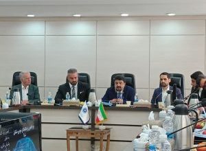 به گزارش فرصت رسانه به نقل از اقتصاد سالم: هادی سلیمانی ملکان، درپاسخ به پرسشی مبنی بر اینکه چرا شرکتهای واردکننده، خودروهای ارزان قیمت با قیمت اقتصادی، برای اقشار طبقه متوسط وارد نمی کنند؛ آیا این تحلیل درست است که خودروسازان و واردکنندگان، بازار را میان خود تقسیم کرده اند، به این گونه که خودروسازان بازار خودروهای اقتصادی را در دست داشته و واردکنندگان به بازار خودروهای گران قیمت ورود کنند!؟، اظهار کرد: توهم تبانی واردکنندگان خودرو با تولیدکنندگان داخلی را از سر بیرون کنید.