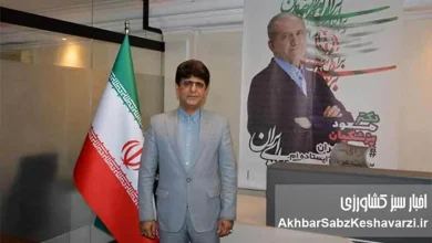 به گزارش فرصت رسانه به نقل از اخبار سبز کشاورزی؛ علی هیودی چهره‌ای نام آشنا و مورد قبول اکثر نیروهای اصلاح طلب و اصولگرا که یک دهه مسئول دفتر ارتباطات مردمی یکی از نمایندگان مجلس خبرگان رهبری، فعال امور مجلس در معاونت توسعه روستایی ریاست جمهوری دولت تدبیر و امید و رییس سیاستگذاری روزنامه کشاورزی سبزینه بوده و دو دوره دولت‌های مختلف به ویژه در بخش سیاستگذاری کشاورزی و امنیت غذایی از وی کمک گرفته‌اند.
