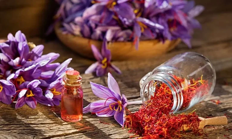 به گزارش فرصت رسانه به نقل از روابط عمومی بانک کشاورزی، با ورود بازار زعفران خراسان شمالی به بستر دیجیتال پلتفرم «پالیز» و ایجاد زنجیره‌ای هوشمند و عادلانه میان کشاورز و بازار مصرف، معضلات دیرینه ای نظیر واسطه گری دلالان حذف و گردش مالی تسهیل و تسریع شده است.