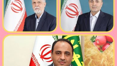 به گزارش فرصت رسانه به نقل از روابط عمومی سازمان جهاد کشاورزی آذربایجان شرقی، احمد سجادی‌فر| در ارزیابی سالانه عملکرد دستگاه‌ها در سامانه ملی انتشار و دسترسی آزاد به اطلاعات (iranfoia) طی بازه تیرماه ۱۴۰۳ تا تیرماه ۱۴۰۴، سازمان جهادکشاورزی استان آذربایجان شرقی موفق به کسب رتبه شایسته تقدیر در شاخص پاسخگویی شد.