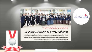 به گزارش فرصت رسانه به نقل از روابط عمومی و امور بین‌الملل پتروشیمی امیرکبیر، هفتمین دوره مسابقات فرهنگی و ورزشی خانواده صنعت پتروشیمی کشور با حضور تیم‌هایی از سراسر ایران و با مشارکت کارکنان، همسران و فرزندان دختر بالای ۲۶ سال، به میزبانی شرکت پتروشیمی تبریز برگزار شد.