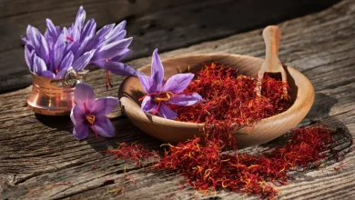 به گزارش فرصت رسانه به نقل از ایسنا، غلامرضا میری درباره صادارت زعفران تا پایان آذرماه سال جاری، اظهار کرد: از ابتدای سال جاری تا پایان مهرماه صادرات زعفران از کشور حدود ۷۰ درصد رشد داشته است.